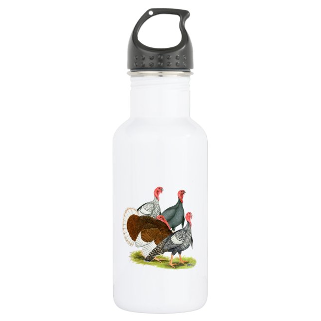 Rare Turkey Quartet 532 Ml Water Bottle (Front)