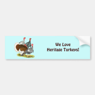 Rare Turkey Quartet Bumper Sticker