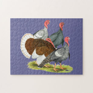 Rare Turkey Quartet Jigsaw Puzzle