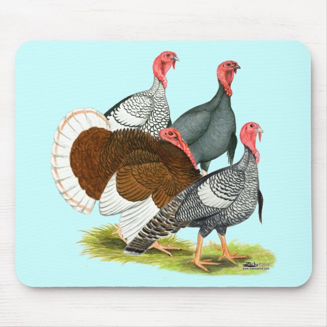 Rare Turkey Quartet Mouse Pad (Front)