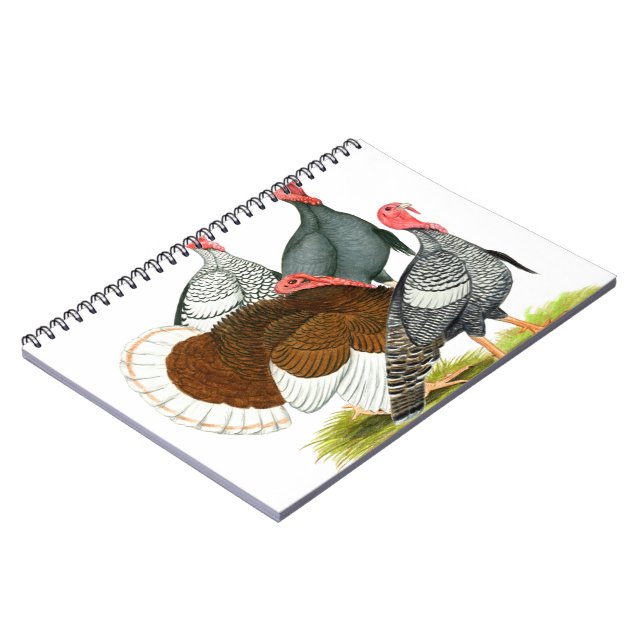 Rare Turkey Quartet Spiral Notebook (Left Side)