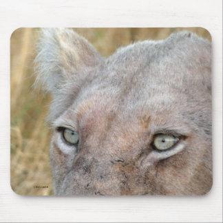 RARE WHITE LION  MOUSE PAD