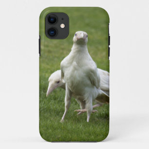 Rare White Raven Crow Wild Bird Case-Mate iPhone Case
