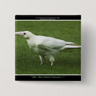 Rare White Raven Motivation Pin