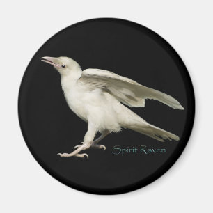 Rare White Raven Photo Spirit Raven II Series Magnet