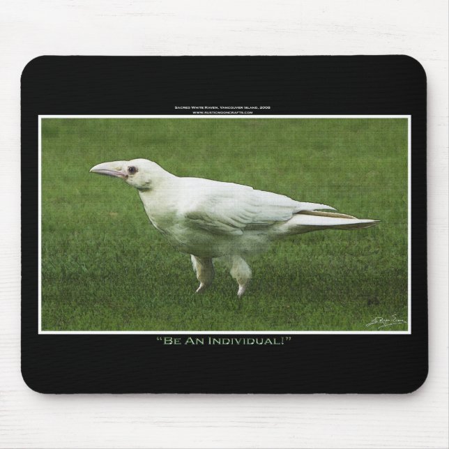 Rare White Raven Wildlife Photograph Mouse Pad (Front)