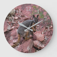 Rare Yellow-footed Rock Wallaby and Baby Australia