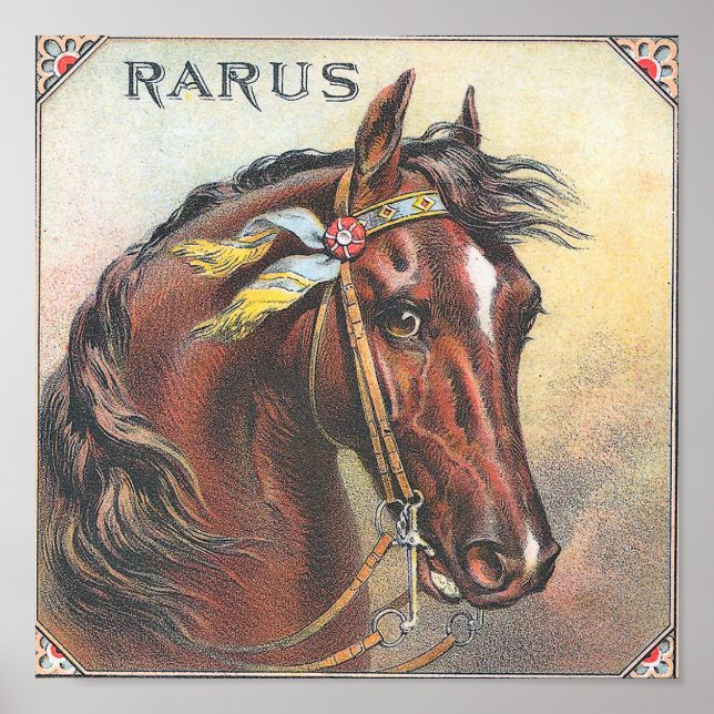 Rarus Vintage Racehorse Portrait Poster (Front)