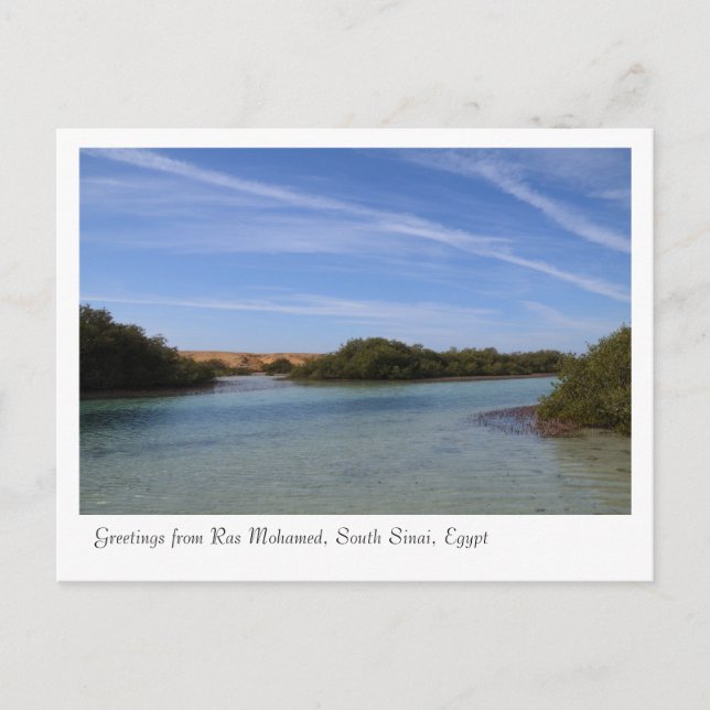 Ras Mohamed Nature Preserve Park, Sinai, Egypt Postcard (Front)