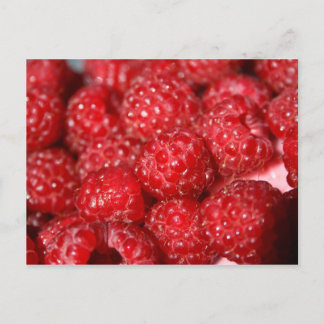 rasberry fruit closeup food design picture postcard