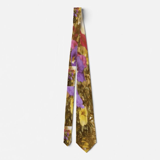 rases are in every where tie (Back)