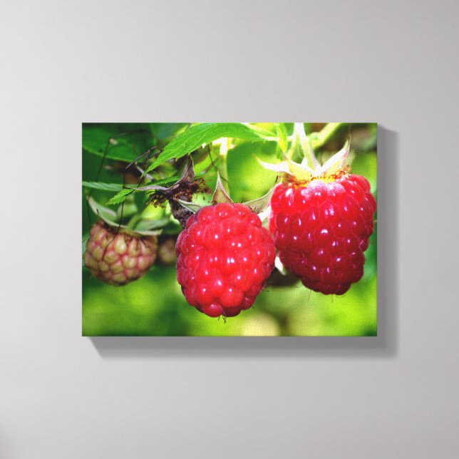 Raspberries Canvas Print (Front)