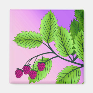Raspberries on a branch magnet