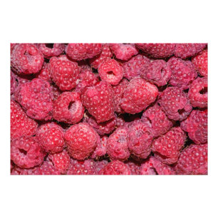 Raspberries Photo Print