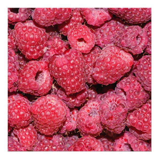 Raspberries Photo Print (Front)