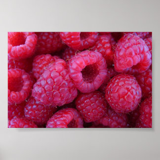 Raspberries Poster