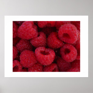 Raspberries Poster