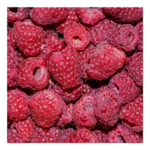 Raspberries Poster