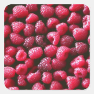 Raspberries Square Sticker