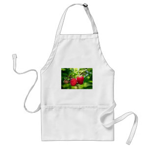 Raspberries Standard Apron