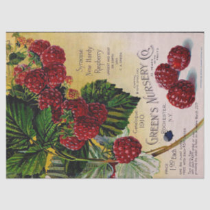 Raspberries Vintage Nursery Catalogue Tissue Paper