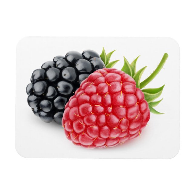 Raspberry and blackberry magnet (Horizontal)