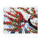 Raspberry and Cream Blossom Branch Postcard