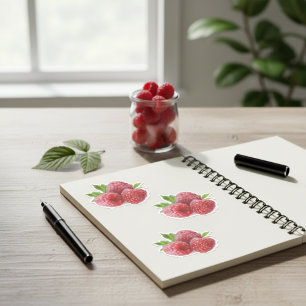 Raspberry Contour Vinyl Sticker