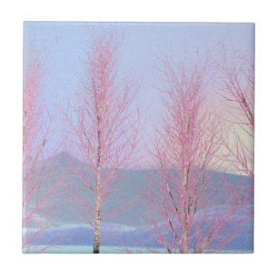 Raspberry Creme Birch Tile