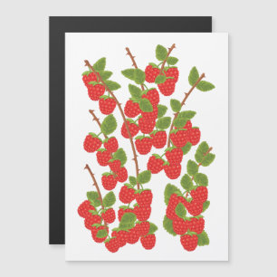 Raspberry fruit