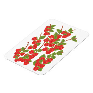 Raspberry fruit magnet