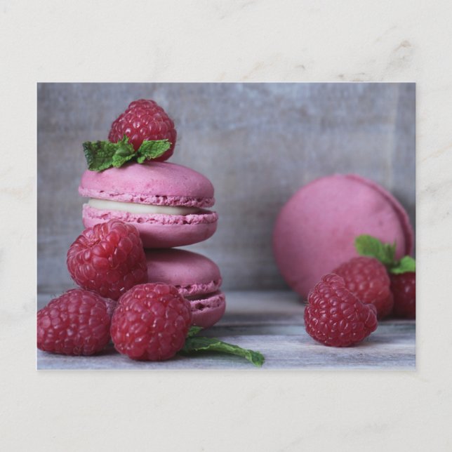 Raspberry Macarons Pink French Pastry Postcard (Front)