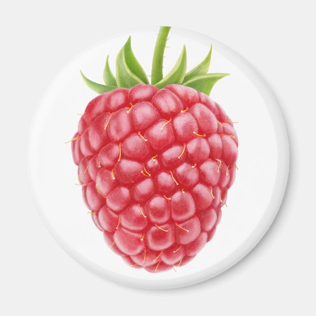 Raspberry Magnet (Front)