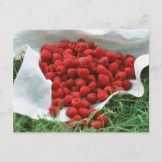 Raspberry Postcard