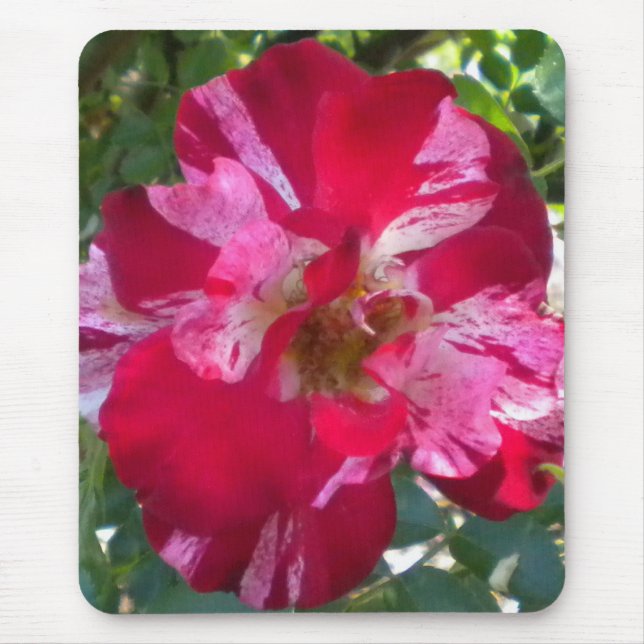 Raspberry Rose Mouse pad (Front)