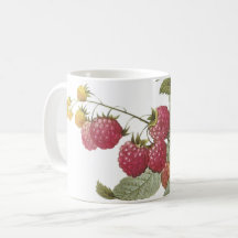 raspberry(Rubus sp.) by Redouté