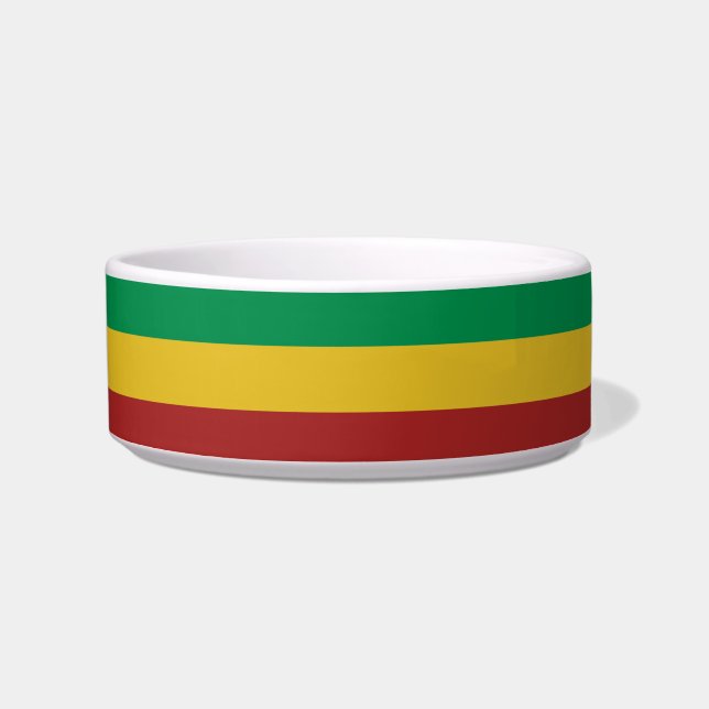 Rasta Stripes Pet Food Bowl (Front)