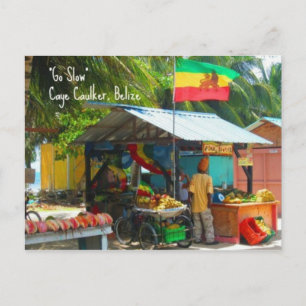 Rasta Veggie Stand n Caye Caulker, Belise Postcard