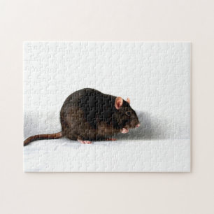 Rat 11x14 252pc jpcnm jigsaw puzzle
