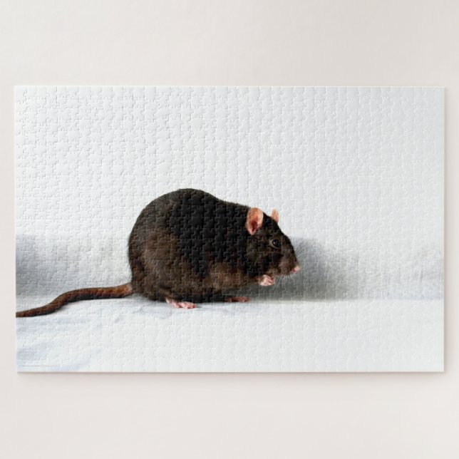 Rat 20x30 1014pc jpcnm jigsaw puzzle (Horizontal)
