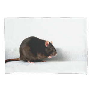 Rat bedpccn pillow case