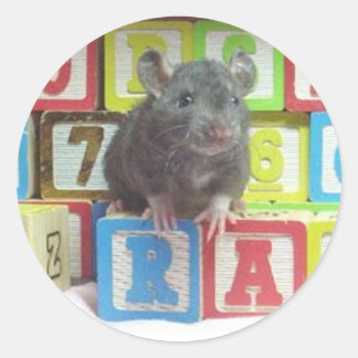 rat block classic round sticker