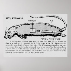 Rat Bomb, Descriptive catalog of Special Devices Poster