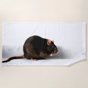 Rat btcnm beach towel