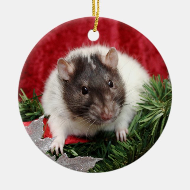 Rat Christmas Ornament (Front)