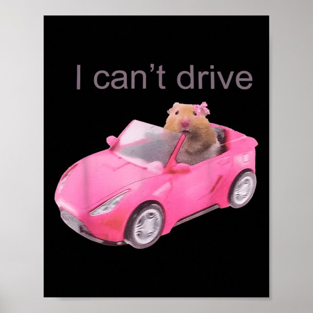 Rat I Can't Drive Funny For Men Women  Poster (Front)
