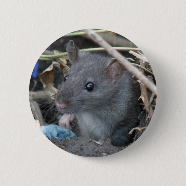 Rat in a hole Button (Front)
