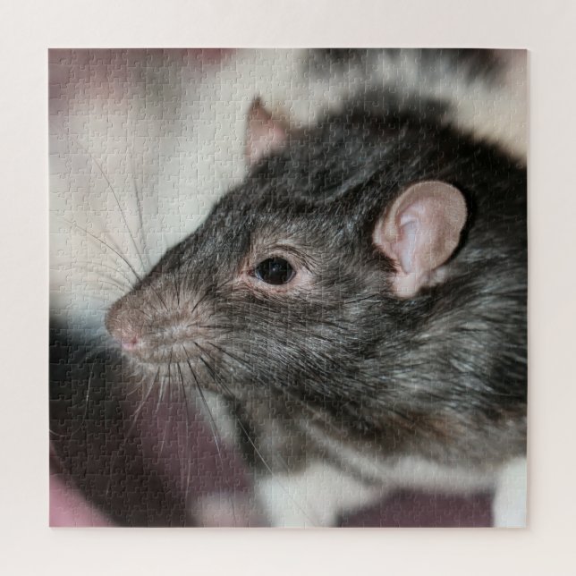 Rat Jigsaw Puzzle (Vertical)