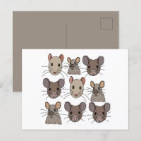 Rat Mouse Mice