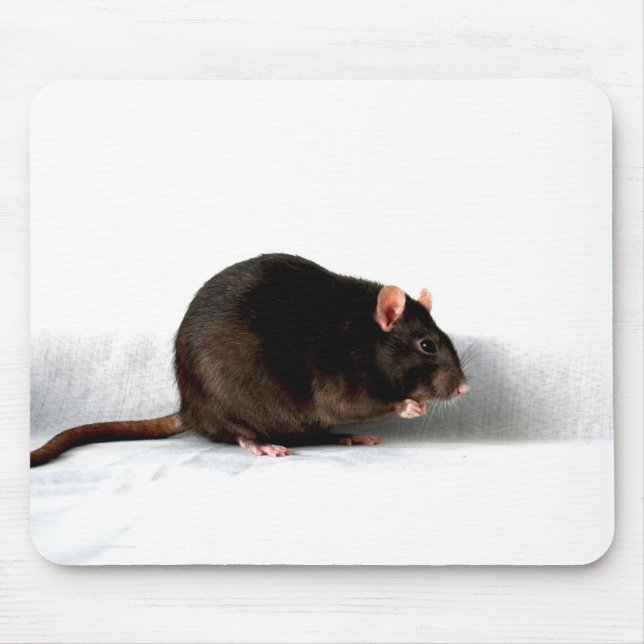 Rat mpm mouse pad (Front)